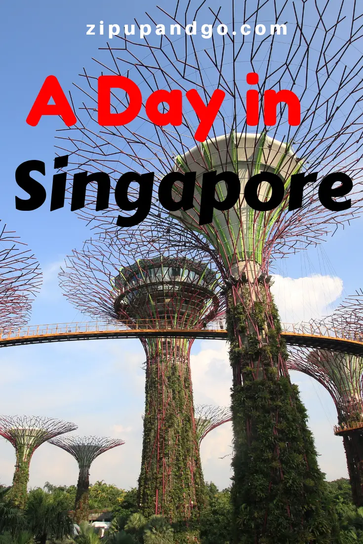 A Day in Singapore Pin 2