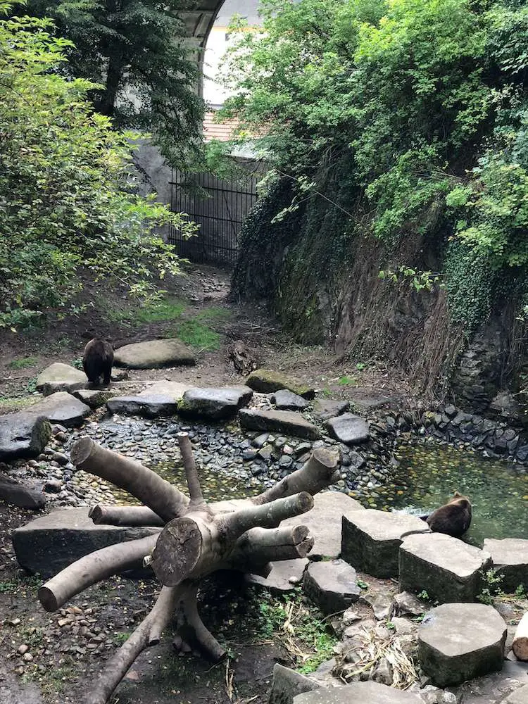 Bears at Cesky Krumlov Castle Moat