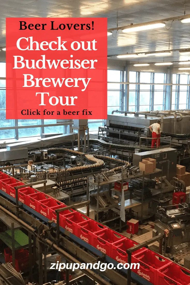 Beer Lovers! Check out Budweiser Brewery Tour Pin 2