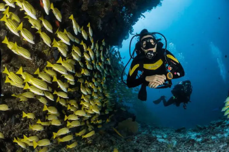 diving in bremer bay