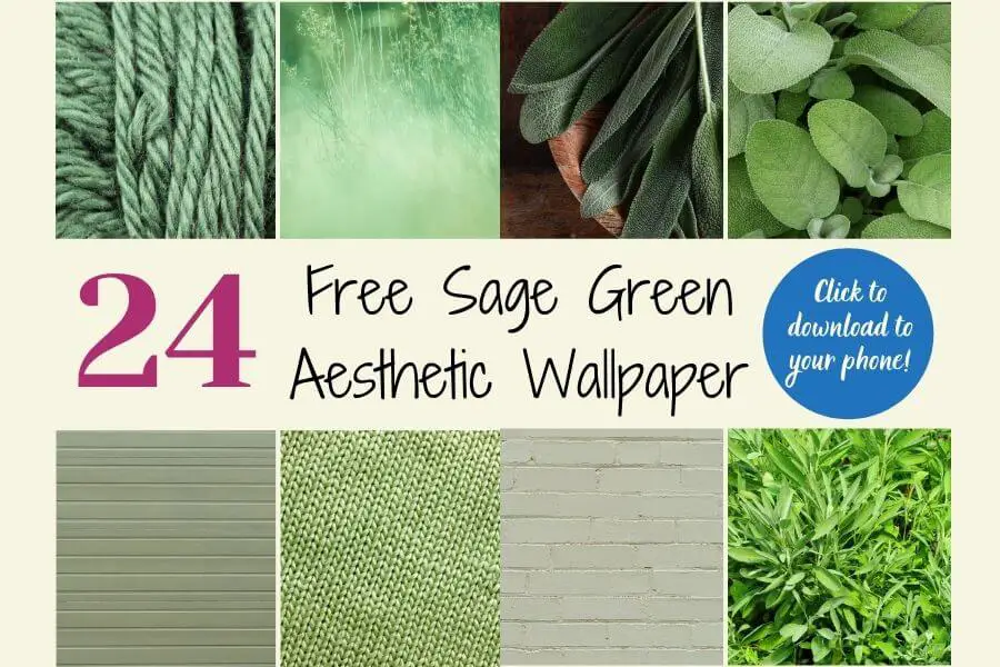 Beautiful free sage green Aesthetic Wallpaper featured image