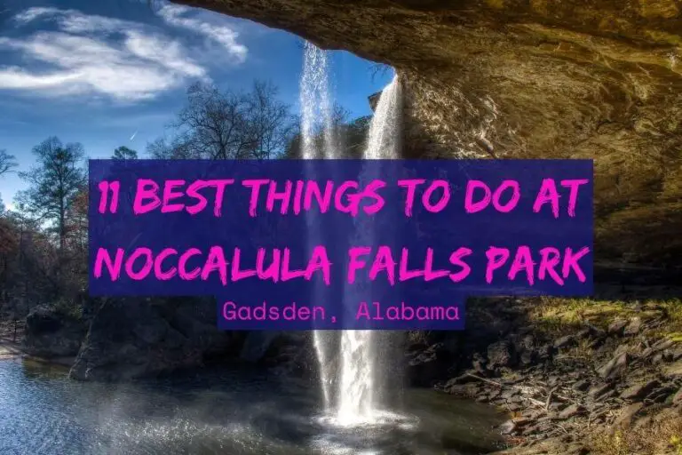 things to do at noccalula falls park featured image