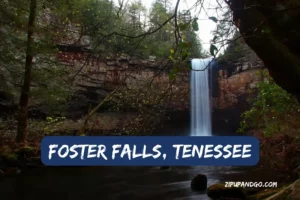 foster falls tn featured image