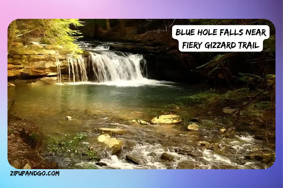 blue hole falls near fiery gizzard trail