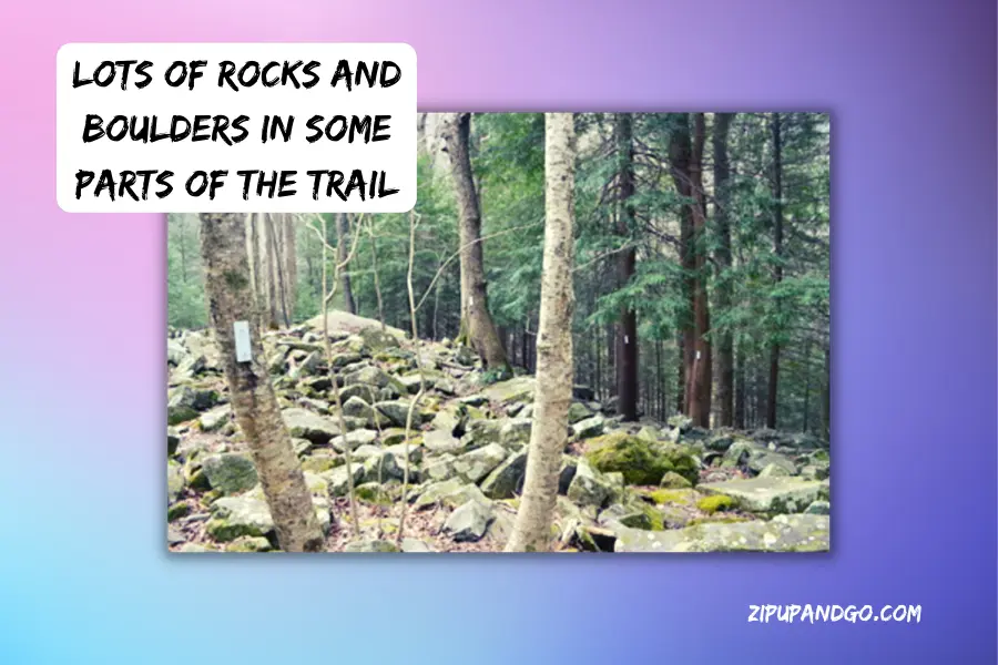 lots of rocks and boulders along fiery gizzard trail